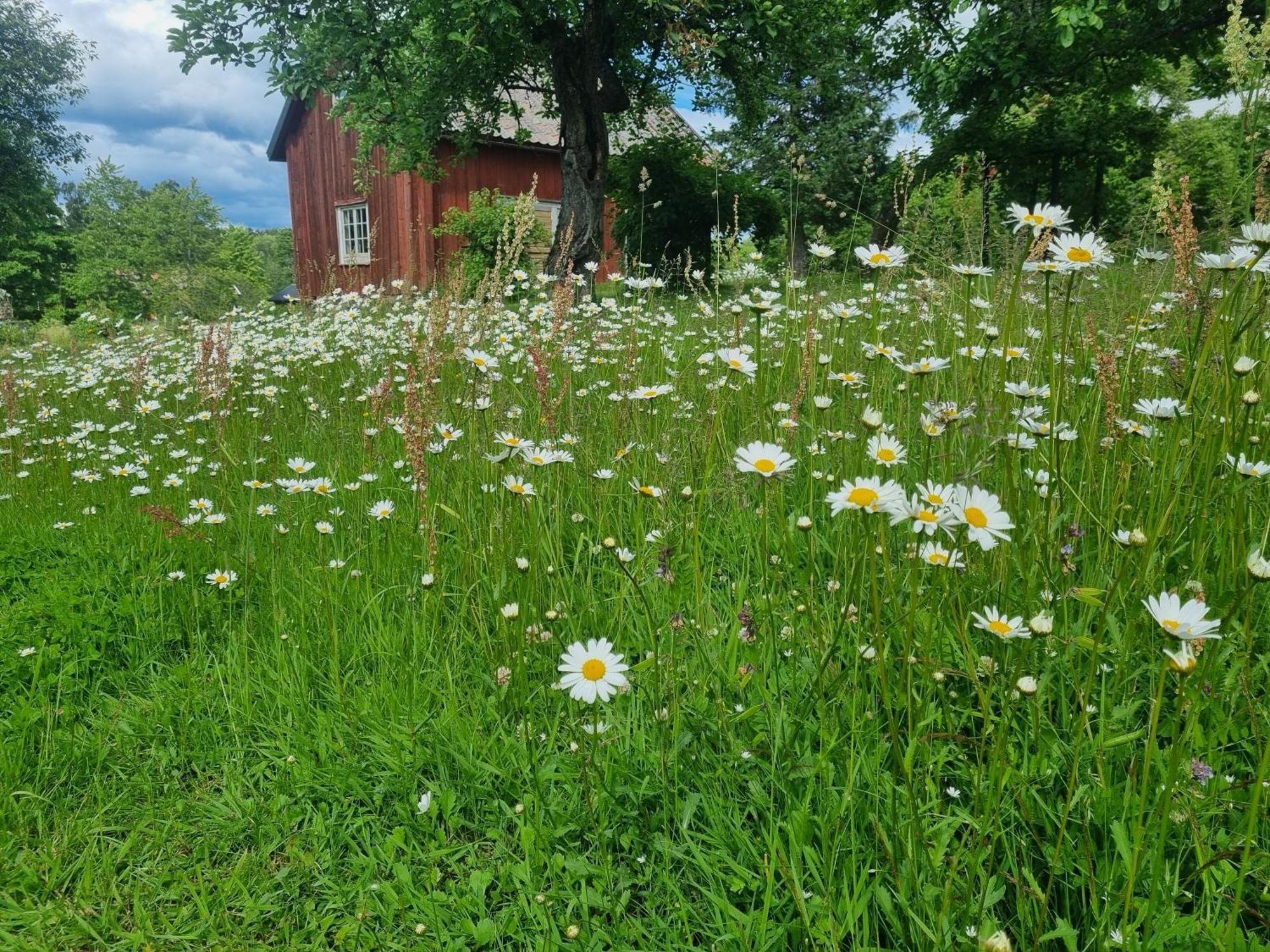 Skoelvs Gard Guest House Glanshammar ภายนอก รูปภาพ